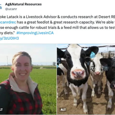 Brooke on left, cow faces on right