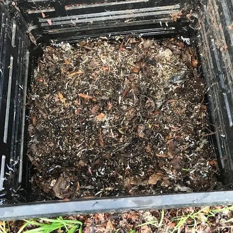 IMG 5397 All images by Cindy Watter