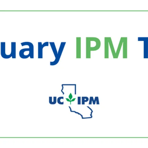 January IPM Tips.