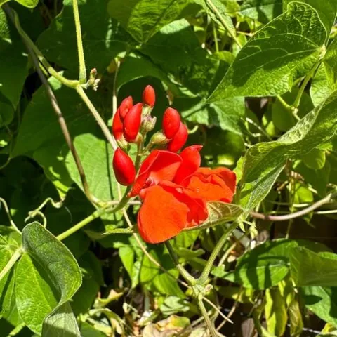 photos by Erin Mahaney