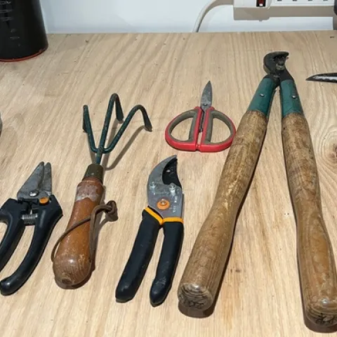 A variety of garden hand tools