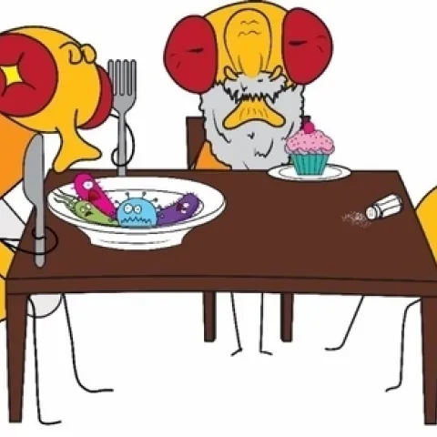 This cartoon from the lab of William Ja will illustrate his Jan. 22 seminar on "Eat, Excrete, & Die: Regulation of Homeostatic Behaviors and Aging in Drosophila."