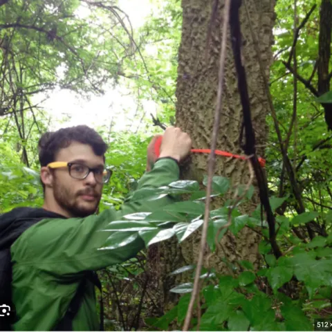 Forest entomologist Todd Johnson of Louisiana State University