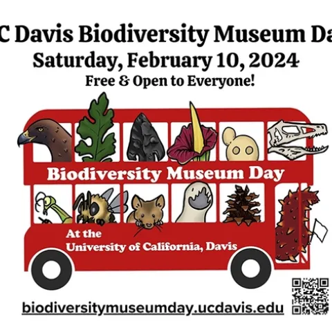 Passengers on a double-decker bus represent the museums and collections on a double-decker bus. The original art is by Ivana Li, with UC Davis student Caitlen Comendant colorizing it and updating it.