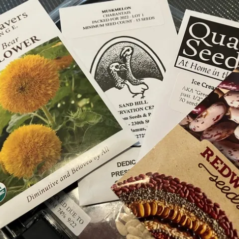 photo by Alex Russell