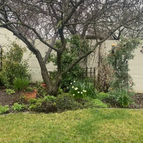 photo by Mike Gunther