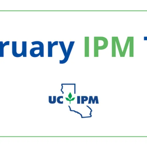 Visit the UC IPM Seasonal Landscape IPM Checklist for a list of pest prevention activities for each month.
