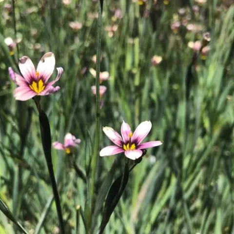 Photo by Andrea Peck