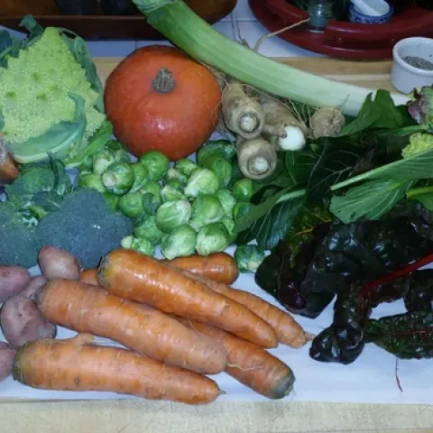 A winter month's share at GRUB CSA in Chico. Francine Stuelpnagel