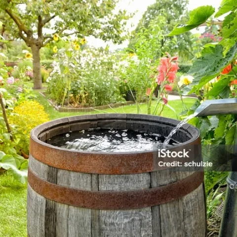 istockphoto-531705904-1024x1024