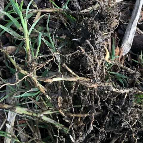 photos by Tanya Kucak