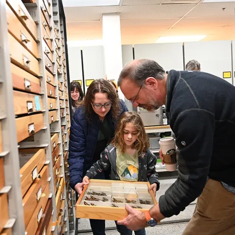 UC Davis professor Jason Bond, director of the Bohart Museum of Entomology, shows butterly specimens to Woodland residents Olive Smith, 8, and her mother Sarah Smith. (Photo by Kathy Keatley Garvey)