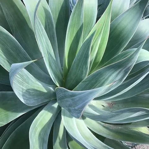 Photo by Cindy Watter