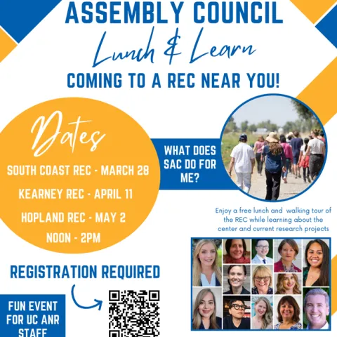 Lunch and Learn flyer