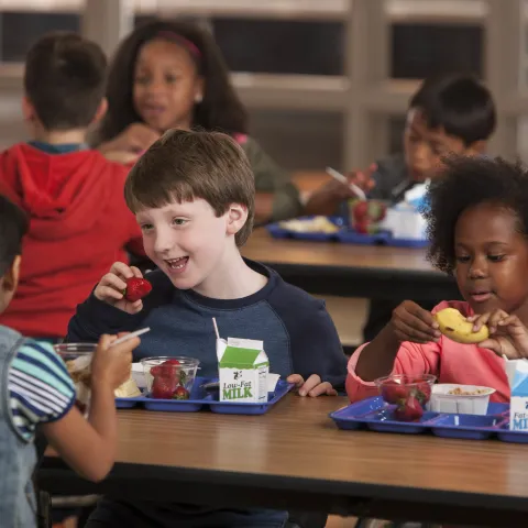 Children in cafeteria eating school meals. Photo credit: USDA.