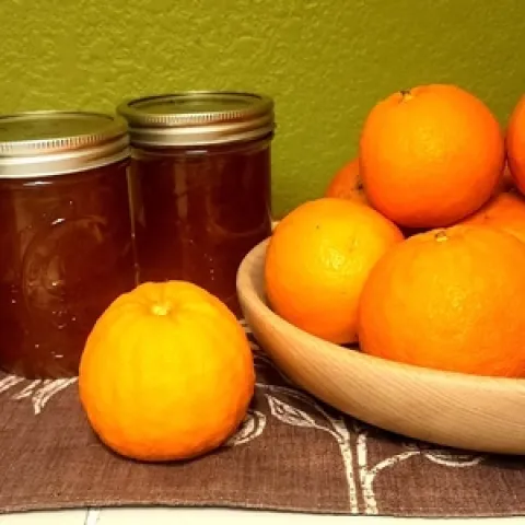 photo by Kelly Mae Heroux