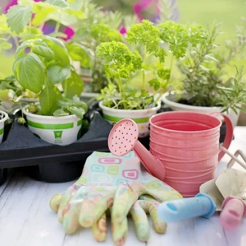 Now is the time to plant herbs in your garden. With a little irrigation, you will have an abundance of fresh herbs to season summer cooking and canning. (Photo: Jill Wellington, Pixabay)