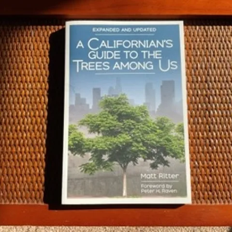 photos by Tina Saravia