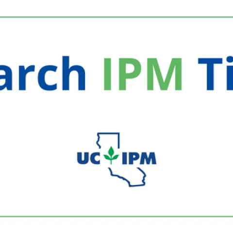 Visit the UC IPM Seasonal Landscape IPM Checklist for a list of pest prevention activities for each month.