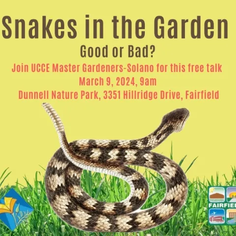a snake coiled up with the title snakes, good or bad? a talk by ucce master gardeners about snakes and how to identify and manage in your home garden.