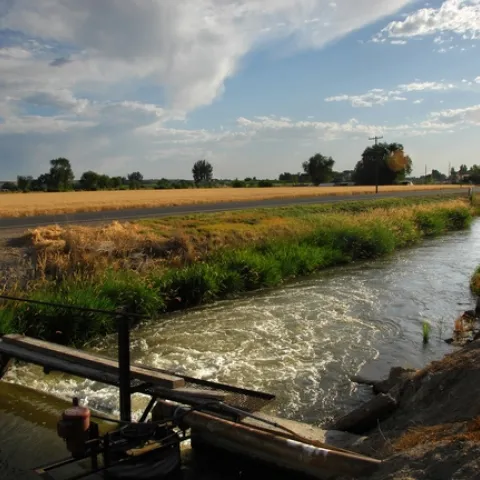 irrigation ditch