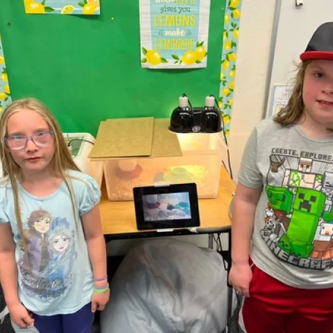 embryology in classroom