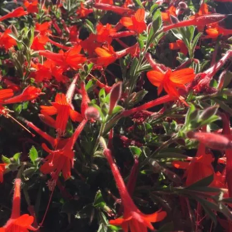 photos by Erin Mahaney