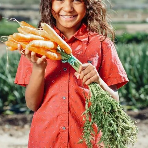 Photo by Kindel Media on Pexels.com