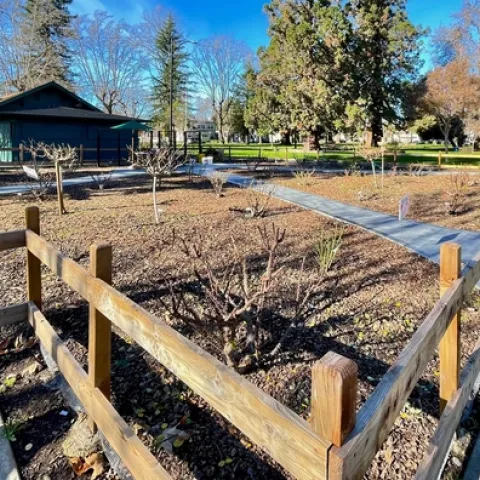 The Rose Garden Corral