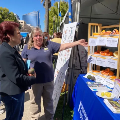 Anna Caballero, left, looks at array of citrus as Tammy describes the varieties.