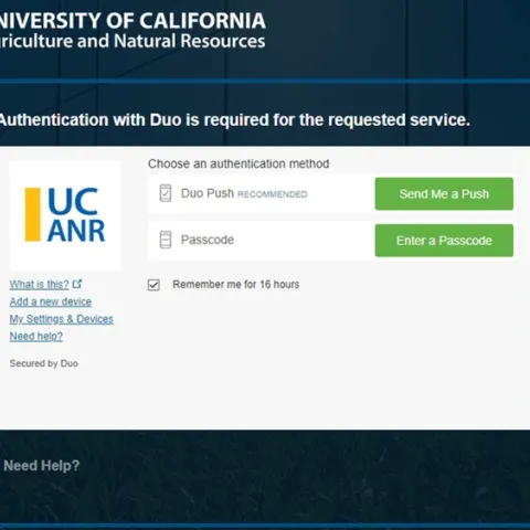 Duo login screen before April 7 change
