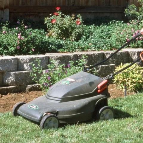 Mowing the lawn without a bag attached to the mower.