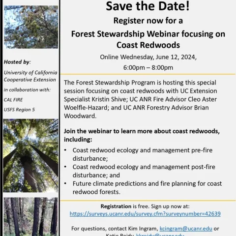 Redwoods Webinar flyer page-0001
