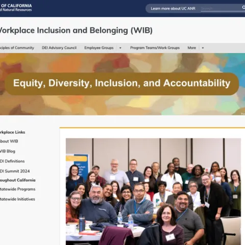 Screenshot of Workplace Inclusion and Belonging website with group photo of EDI Summit participants.
