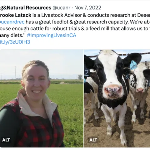 Brooke is pictured next to a photo of black and white cows.