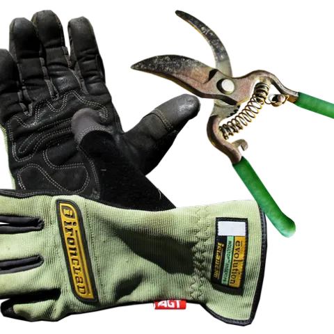 garden-3277053 1280 Pixabay