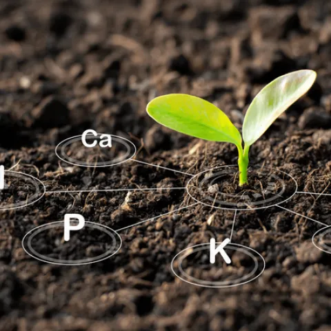 SoilNutrients