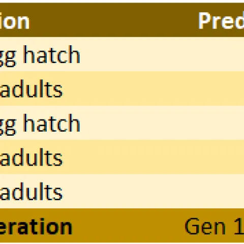 20240403 3rd report table