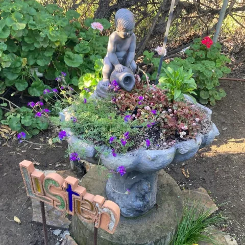 A fountain filled with perennial flowers.