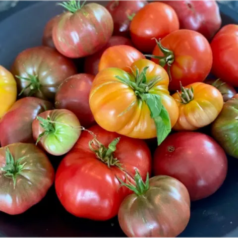 Photo of a bunch of tomatoes