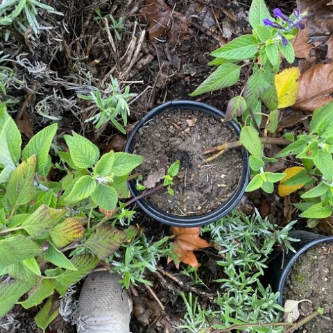 photos by Peggy Smith