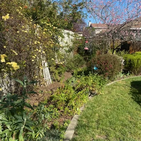 photo by Mike Gunther