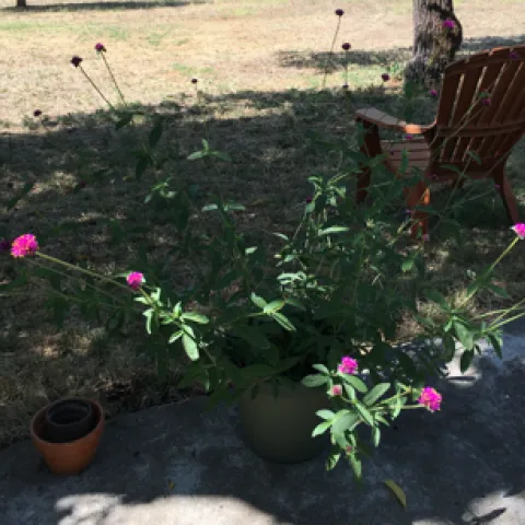 photos by Heather Hamilton