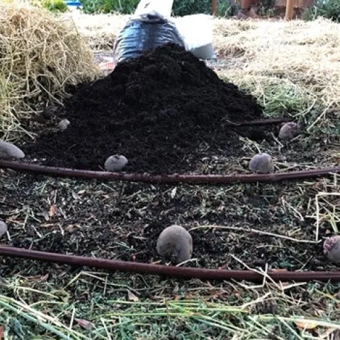 photo by Alex Russell