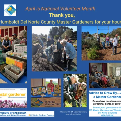 images of people working