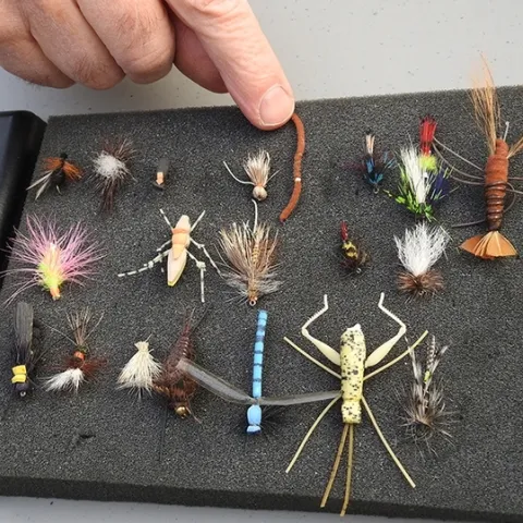 A display by the Fly Fishers of Davis at a recent UC Davis Picnic Day. The Fly Fishers are an integral part of the insect activities at Briggs Hall, home of the UC Davis Department of Entomology and Nematology. (Photo by Kathy Keatley Garvey)