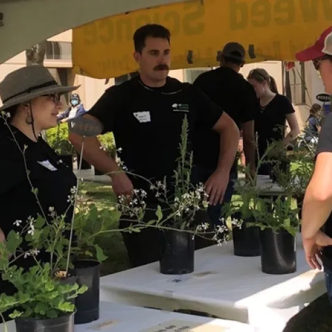 Doctoral candidate Matt Fatino, center, is one of the 'weed doctors' who will be available during Picnic Day 2024 to answer people's questions about the pesky plants growing in their lawns, fields and pastures. Whitney Brim-DeForest, left, is a Department of Plant Sciences graduate and expert in rice-field weeds who now is the UC Cooperative Extension County Director for Sutter and Yuba counties. (UC Davis)