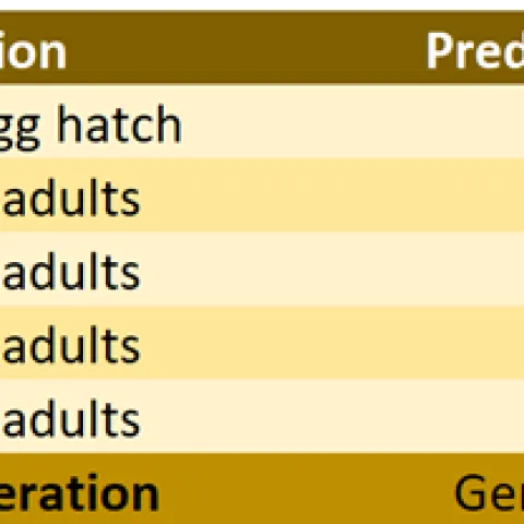 20240415 4th report table