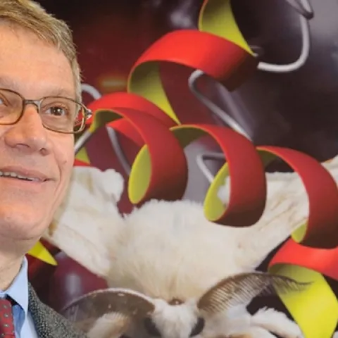 UC Davis distinguished professor Walter Leal today (April 30, 2024) was named a member of the National Academy of Sciences. (Photo by Kathy Keatley Garvey)