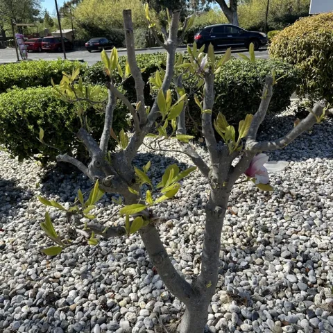 photos by Erin Mahaney